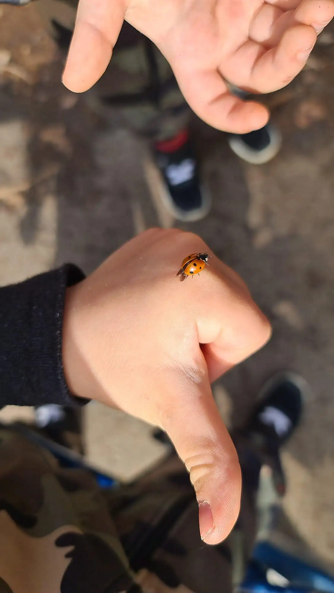 Grija copiiilor față de ce îi înconjoară