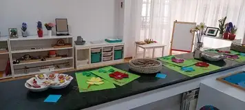 Mediu de dezvoltare special amenajat